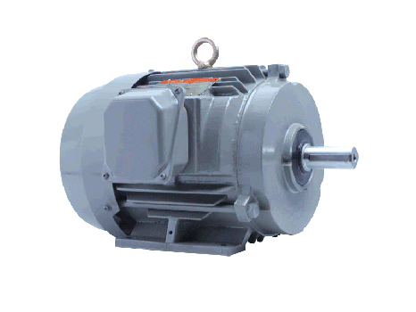 超高效率馬達(dá) IE3 系列 - TEFC